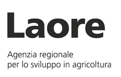 Laore