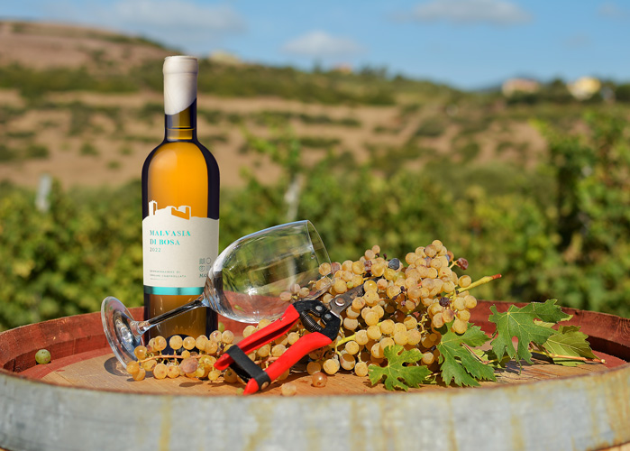 Malvasia of Bosa